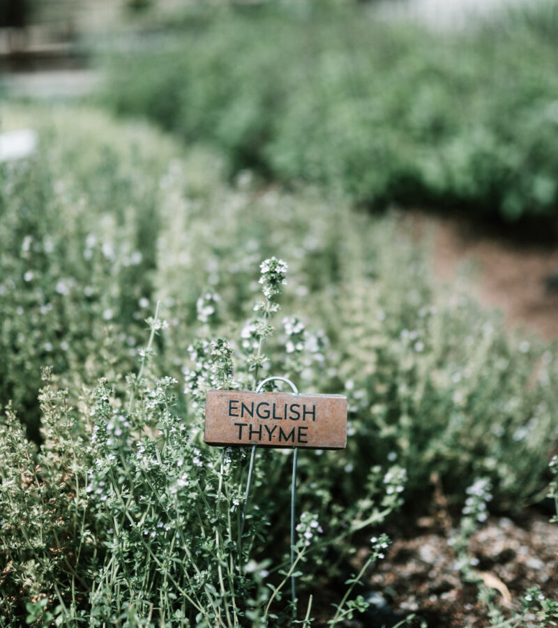 Seven Reasons to Grow Edible Landscape Plants